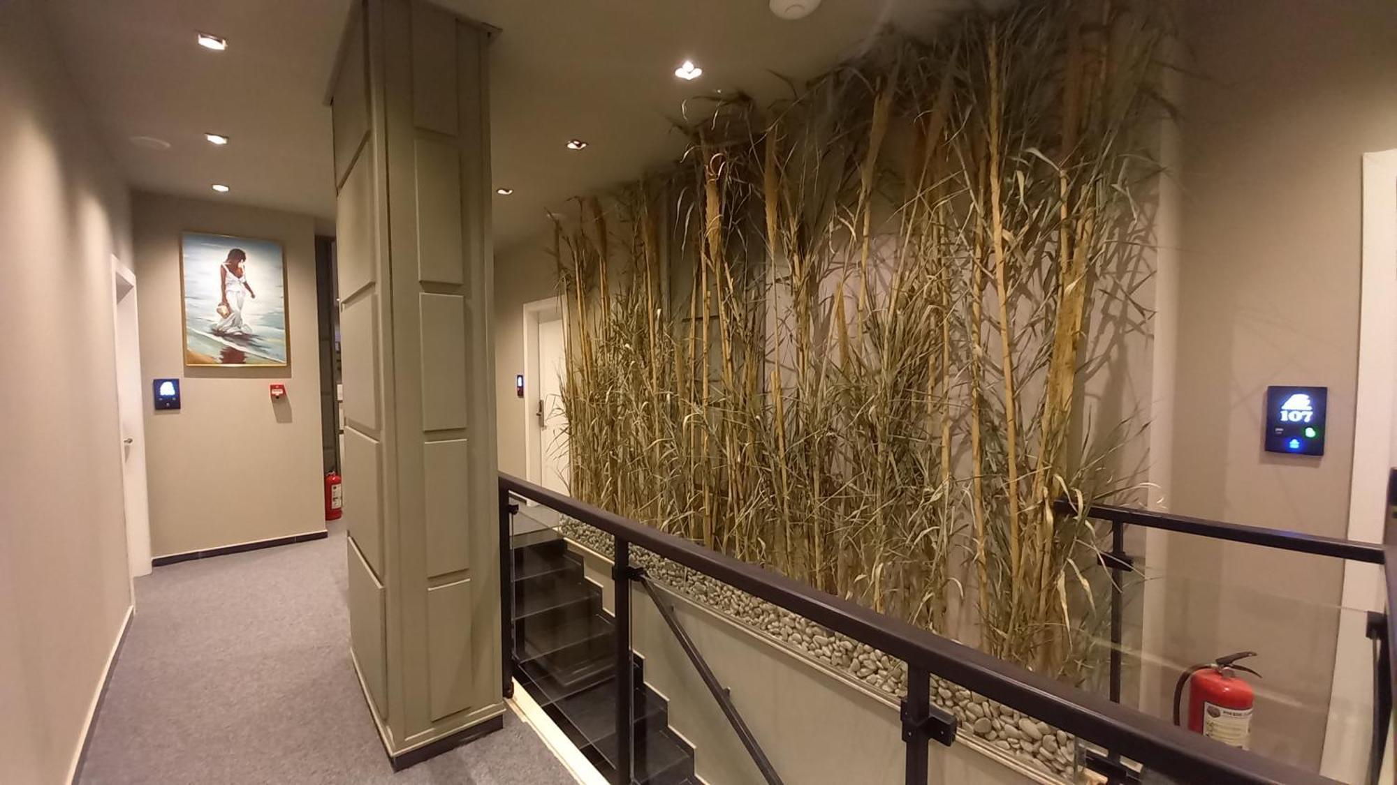 Hotel Aglon วญอเรอ ภายนอก รูปภาพ